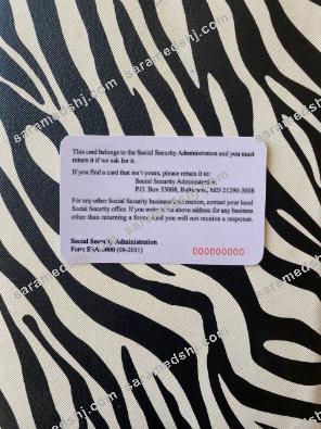 USA SSN photolook zebra background BACK